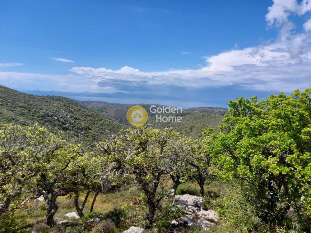 Αγροτεμάχια 7.837 τ.μ. προς πώληση, Καλογεράδος