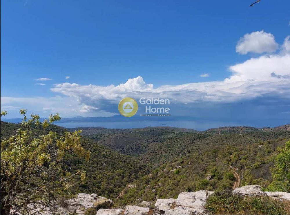Αγροτεμάχια 7.837 τ.μ. προς πώληση, Καλογεράδος