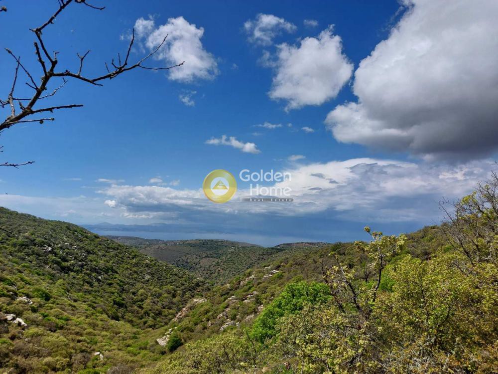 Αγροτεμάχια 7.837 τ.μ. προς πώληση, Καλογεράδος