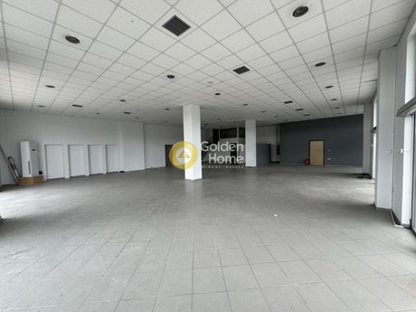 Store 300sqm for rent-Thiva » Ampelochori