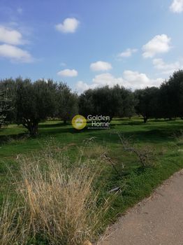 Land plot 18.500sqm for sale-Gouves » Karteros