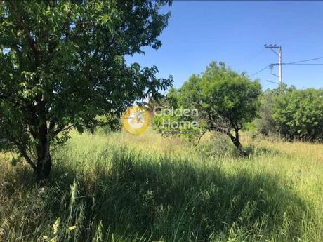 Land plot 308sqm for sale-Volos » Chrisochoidi