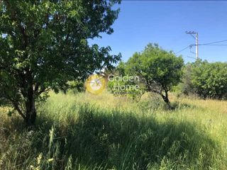 Οικόπεδο 308 τ.μ. για πώληση