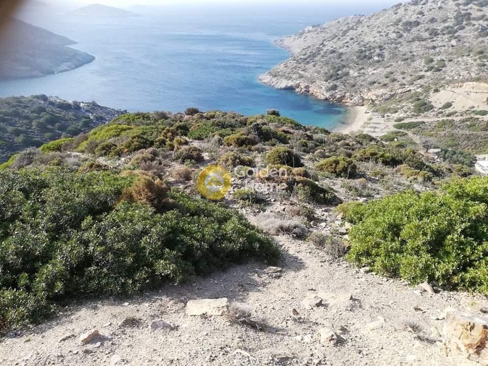 Αγροτεμάχια 10.261 τ.μ. προς πώληση, Άγιος Ιωάννης Θερμαστής