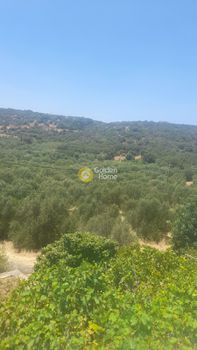 Land plot 1.882sqm for sale-Agios Nikolaos » Exo Lakkonia