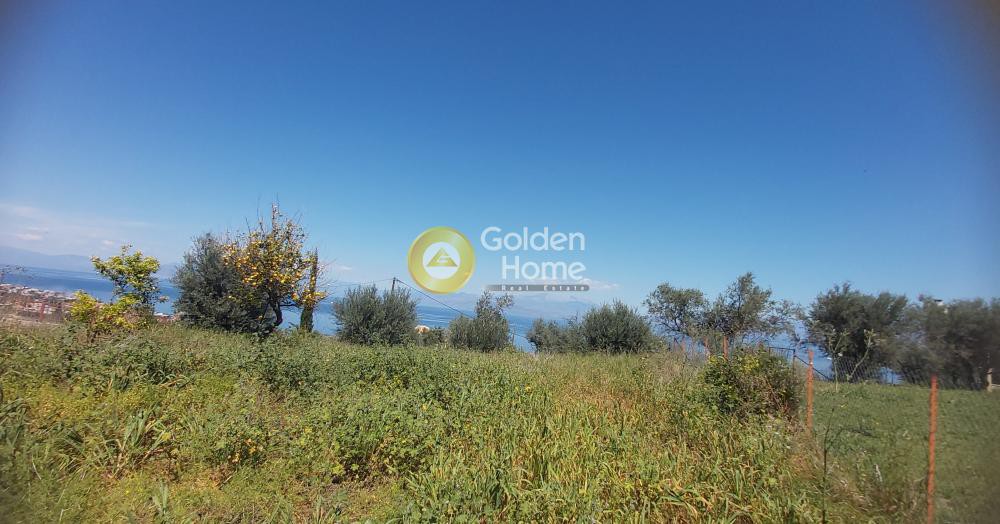 Οικόπεδο 425 τ.μ. προς πώληση, Άνω Λουτρό