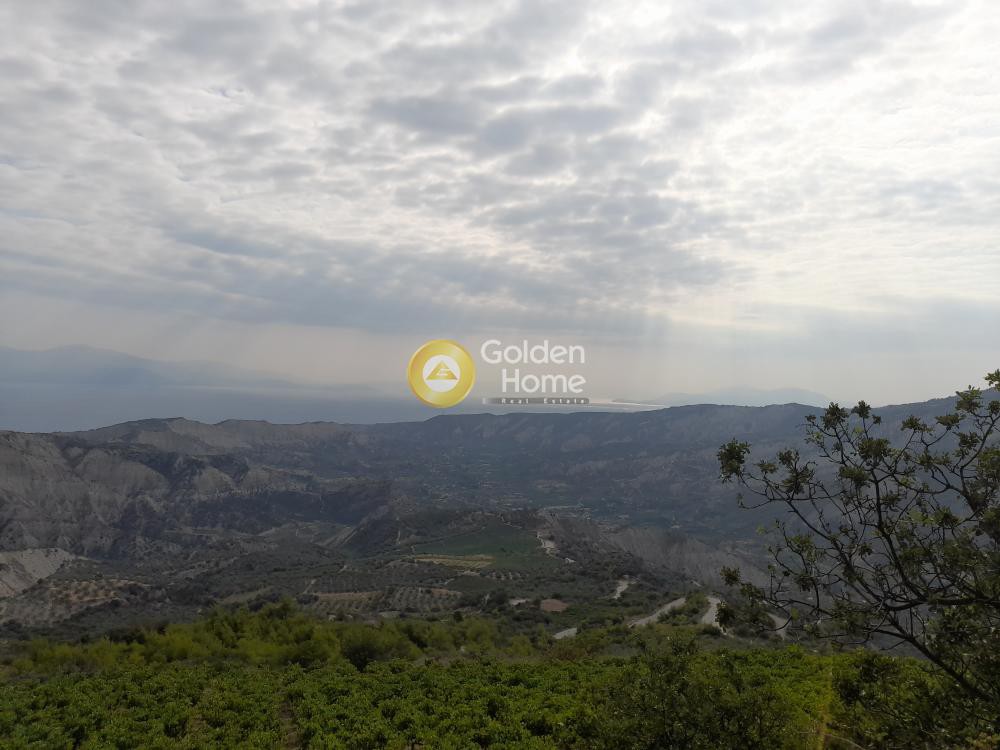 Οικόπεδο 9.800 τ.μ. προς πώληση, Πελλήνη