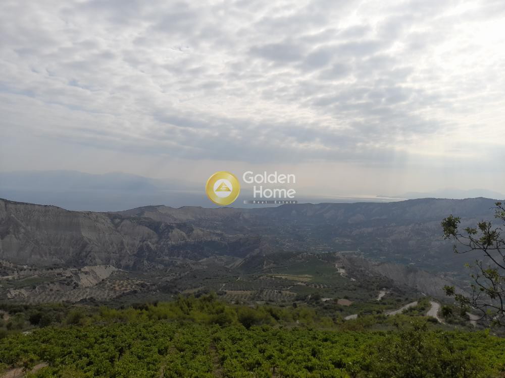 Οικόπεδο 9.800 τ.μ. προς πώληση, Πελλήνη