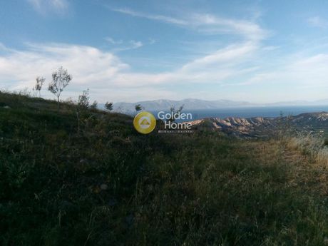 Land plot 9.800sqm for sale-Xilokastro » Pellini