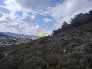 Αγροτεμάχια 13.000 τ.μ. προς πώληση, Έλητας-thumb-1