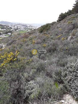 Parcel 13.000sqm for sale-Paros » Elitas