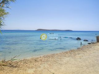 Αγροτεμάχια 4.715 τ.μ. για πώληση