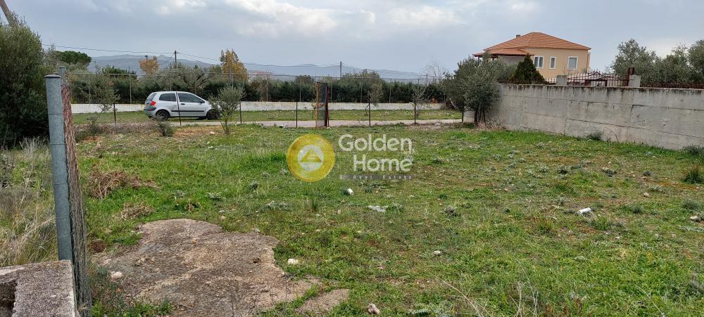 Αγροτεμάχια 300 τ.μ. προς πώληση, Νέα Πέραμος Αττικής