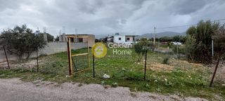 Αγροτεμάχια 300 τ.μ. για πώληση