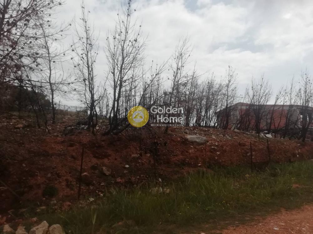 Οικόπεδο 495 τ.μ. προς πώληση, Διώνη Πικερμίου