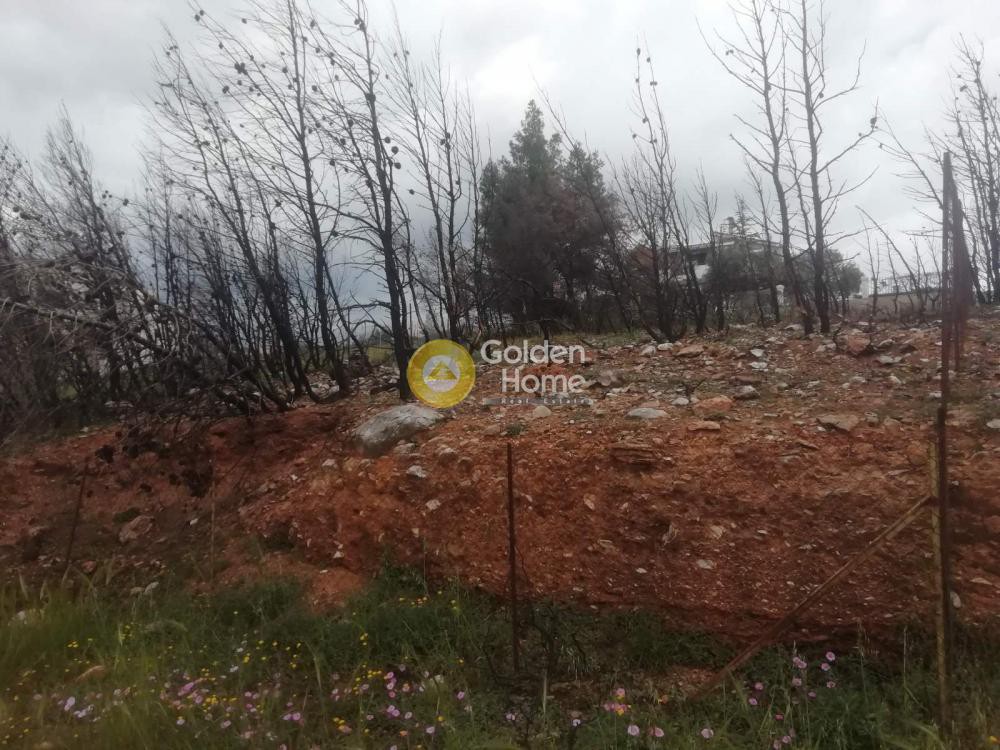 Οικόπεδο 495 τ.μ. προς πώληση, Διώνη Πικερμίου