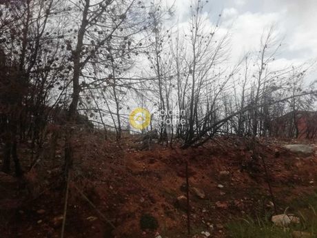 Οικόπεδο 495τ.μ. για πώληση-Πικέρμι » Διώνη