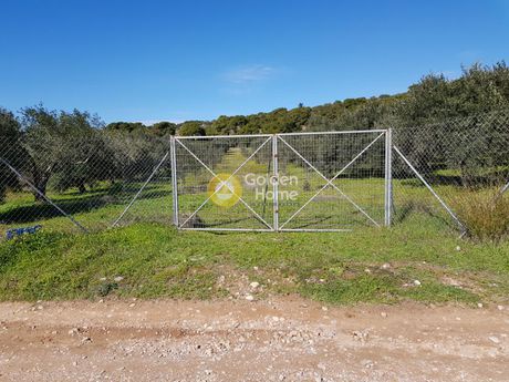 Αγροτεμάχια 6.400τ.μ. για πώληση-Κερατέα » Αρί