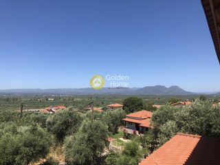 Μονοκατοικία 250 τ.μ. για πώληση, Μεσσηνία, Θουρία-thumb-1