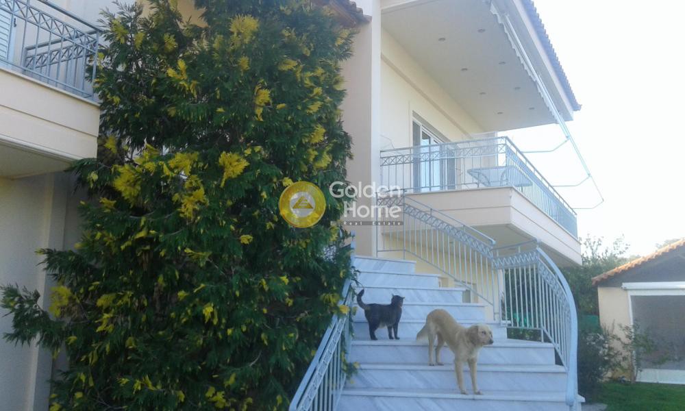Μονοκατοικία 230 τ.μ. προς πώληση, Εύβοια, Δύστος