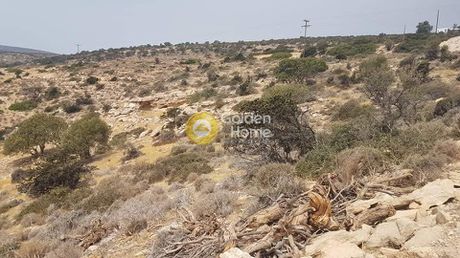 Αγροτεμάχια 4.000τ.μ. για πώληση-Ηρακλείας » Άγιος γεώργιος