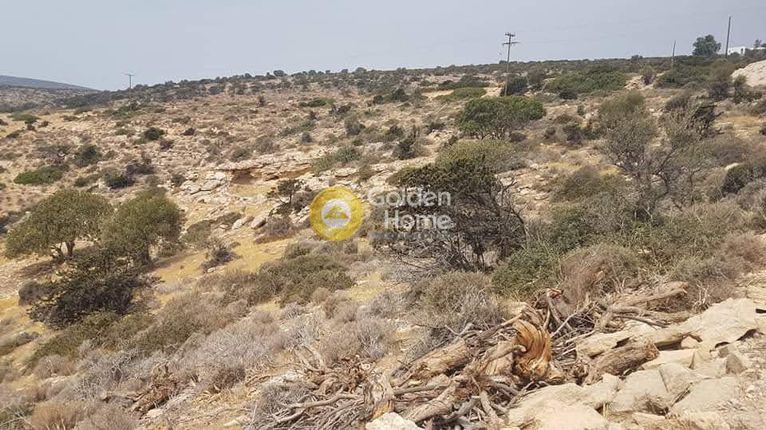 Parcel 4.000 sqm for sale, Cyclades, Iraklias