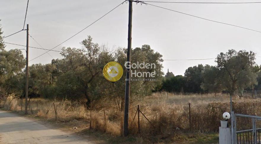 Αγροτεμάχια 2.308 τ.μ. προς πώληση, Άγιος Παντελεήμονας Μαραθώνα