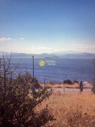 Οικόπεδο 4.153 τ.μ. για πώληση, Εύβοια, Στύρα