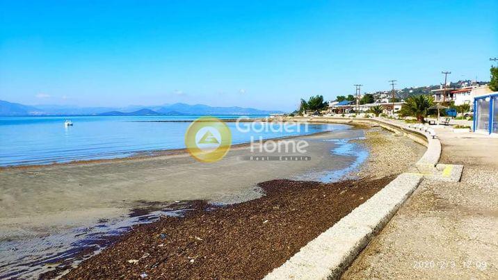 Συγκρότημα διαμερισμάτων 250 τ.μ. προς ενοικίαση, Καλαμάκι Λαμίας