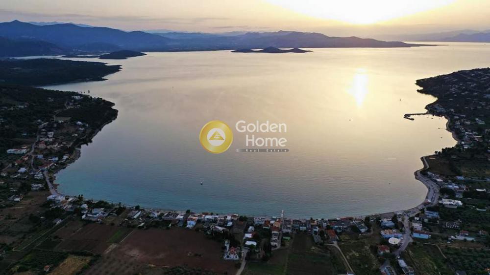 Συγκρότημα διαμερισμάτων 250 τ.μ. προς ενοικίαση, Καλαμάκι Λαμίας