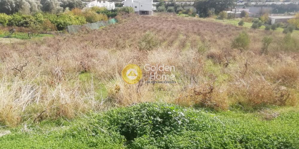 Οικόπεδο 6.500 τ.μ. προς πώληση, Κερασιά Τετραχωρίου