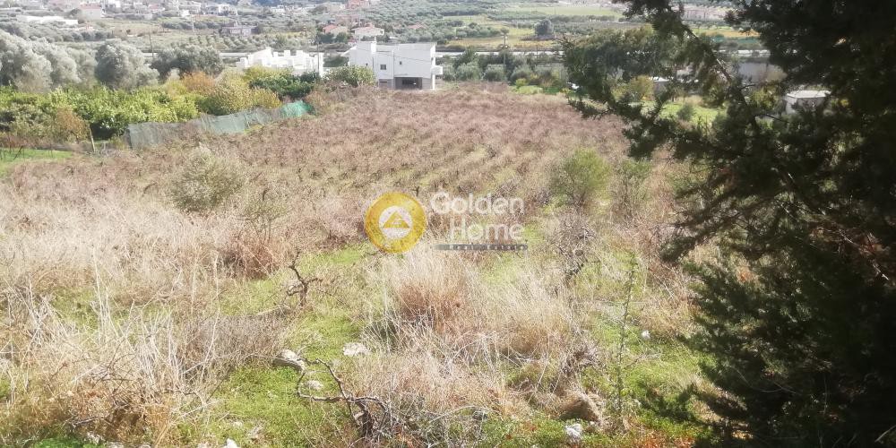 Οικόπεδο 6.500 τ.μ. προς πώληση, Κερασιά Τετραχωρίου