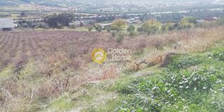 Οικόπεδο 6.500 τ.μ. για πώληση