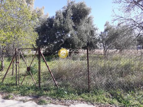 Οικόπεδο 300τ.μ. για πώληση-Παλλήνη » Κέντρο