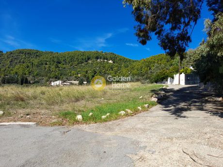 Land plot 19.000sqm for sale-Afidnes » Kiourka