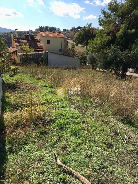 Αγροτεμάχια 600 τ.μ. προς πώληση, Νυμφών