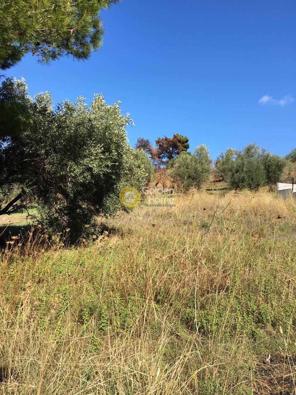 Αγροτεμάχια 600 τ.μ. προς πώληση, Νυμφών