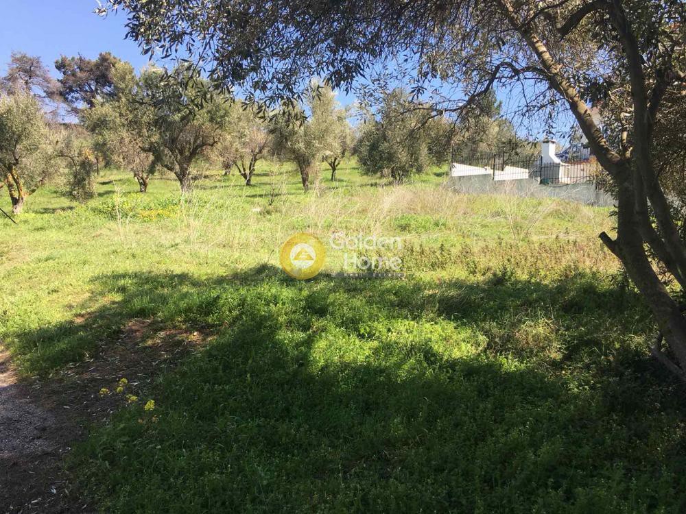 Αγροτεμάχια 600 τ.μ. προς πώληση, Νυμφών