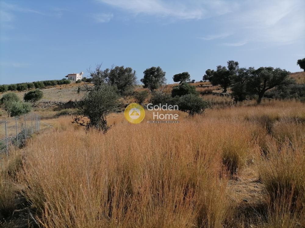 Αγροτεμάχια 2.400 τ.μ. προς πώληση, Σίβας