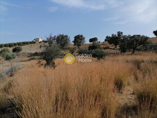 Αγροτεμάχια 2.400 τ.μ. προς πώληση, Σίβας-thumb-3