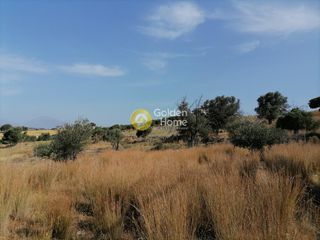 Αγροτεμάχια 2.400 τ.μ. προς πώληση, Σίβας-thumb-14