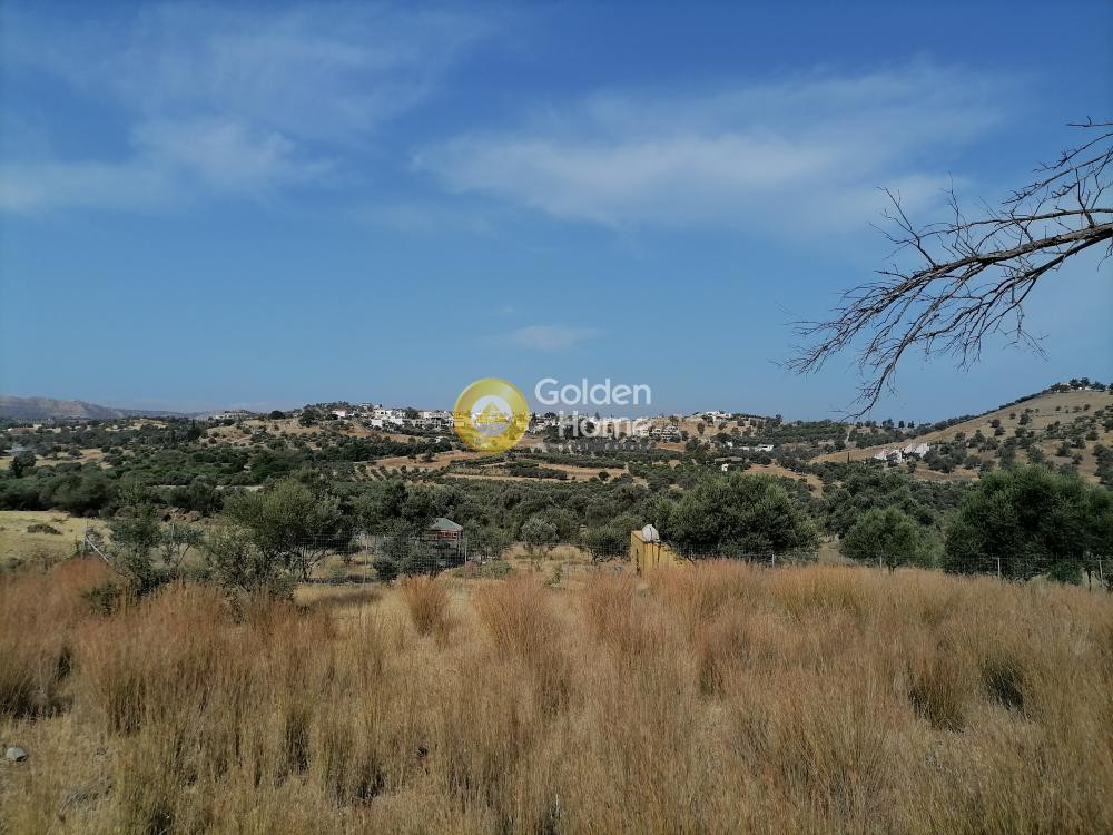 Αγροτεμάχια 2.400 τ.μ. προς πώληση, Σίβας