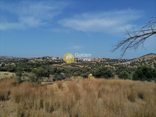 Αγροτεμάχια 2.400 τ.μ. προς πώληση, Σίβας-thumb-2