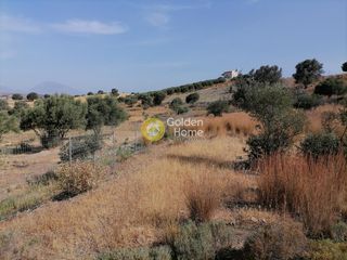 Αγροτεμάχια 2.400 τ.μ. προς πώληση, Σίβας-thumb-7