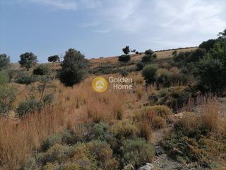 Αγροτεμάχια 2.400 τ.μ. προς πώληση, Σίβας-thumb-9