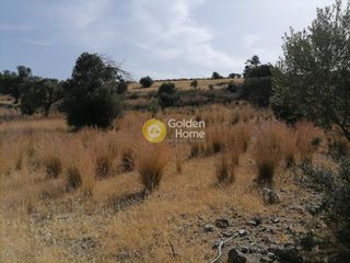 Αγροτεμάχια 2.400 τ.μ. προς πώληση, Σίβας-thumb-11