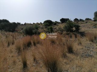Αγροτεμάχια 2.400 τ.μ. προς πώληση, Σίβας-thumb-13