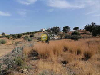 Αγροτεμάχια 2.400 τ.μ. προς πώληση, Σίβας-thumb-5