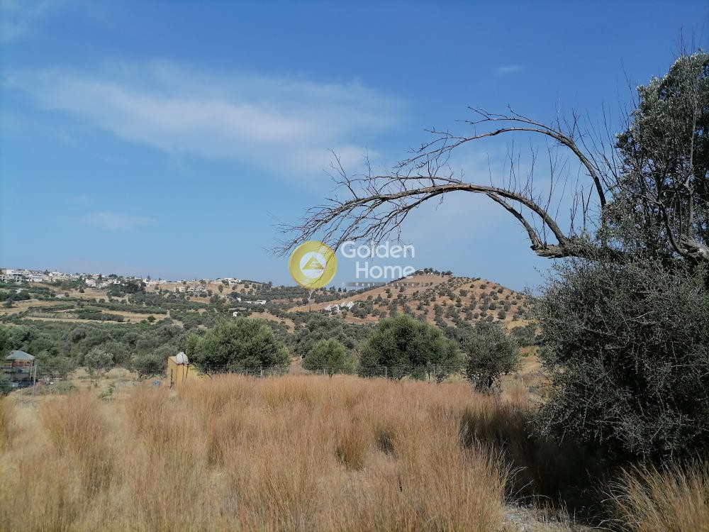 Αγροτεμάχια 2.400 τ.μ. προς πώληση, Σίβας
