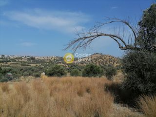 Αγροτεμάχια 2.400 τ.μ. προς πώληση, Σίβας-thumb-6